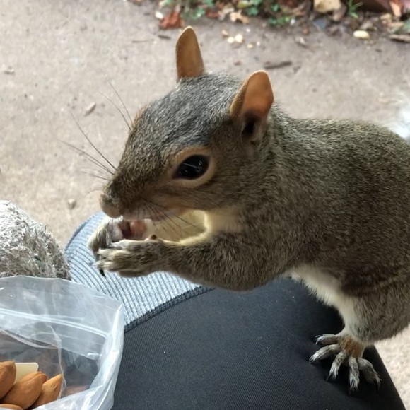 Welcome to my closet!! - Picture 8 of 8